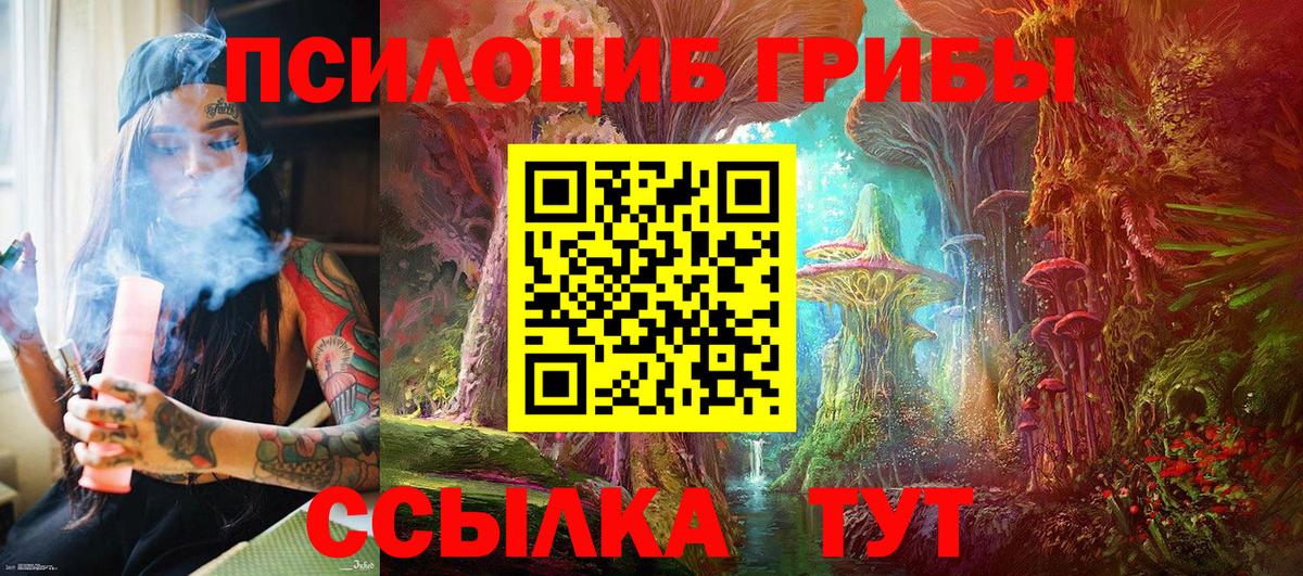 Псилоцибиновые грибы прущие грибы Унеча