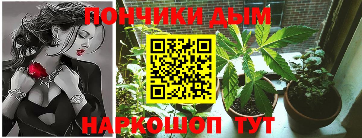 Каннабис Amnesia  Вход с VPN  Марихуана планчик  Унеча 